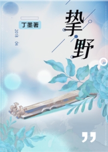 丁墨《摯野》 發(fā)表網(wǎng)站：云起書院 《摯野》將音樂筑夢與愛情圓夢巧妙地結(jié)合起來，表現(xiàn)當(dāng)代青年在喧囂生活中對愛情的執(zhí)著與堅守。作品在浪漫的人生況味中隱含了積極的思想意義，情節(jié)設(shè)置出人意料又合情合理，敘事嫻熟，以獨特的浪漫意味在都市愛情寫作中自成一格。	