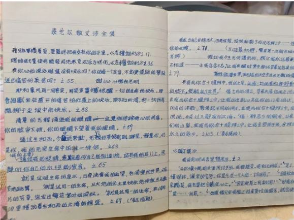 除了孫犁，李躍慧也十分喜愛(ài)泰戈?duì)枺@是她手抄的部分泰戈?duì)栐?shī)歌