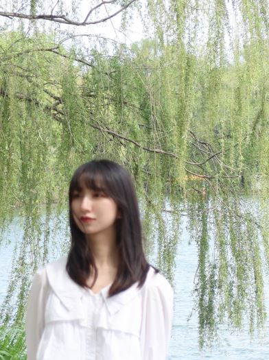 陳 登